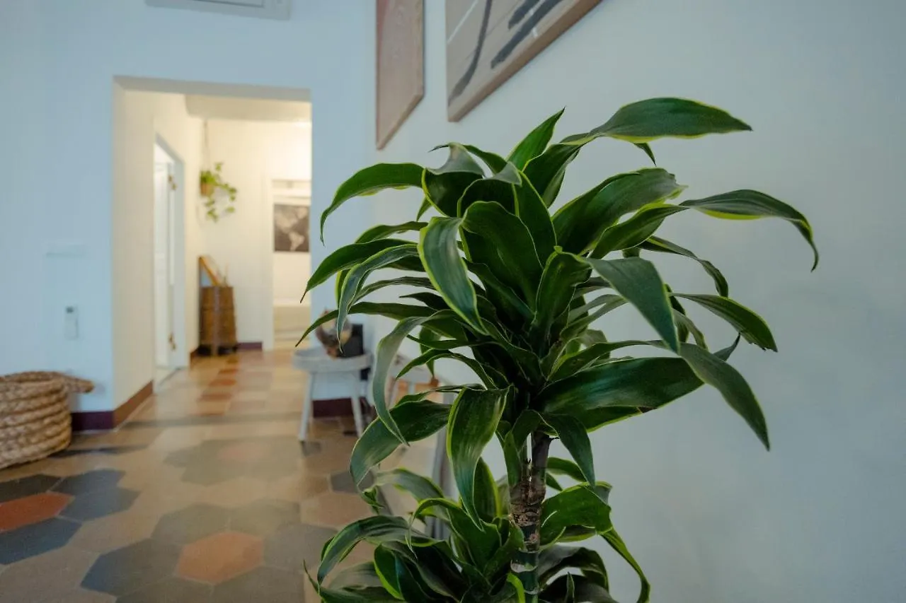 Domus Superior Navona - Pantheon Apartment Rome